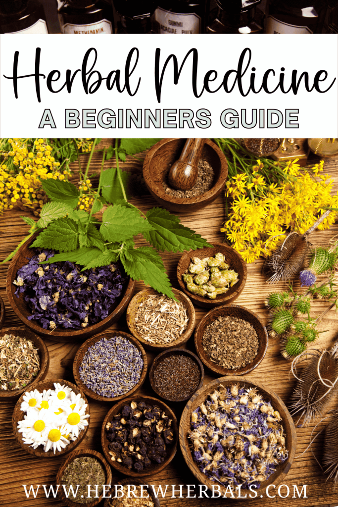 Curious about herbal medicine? Learn the basics in this beginner-friendly guide and start your natural wellness journey today!