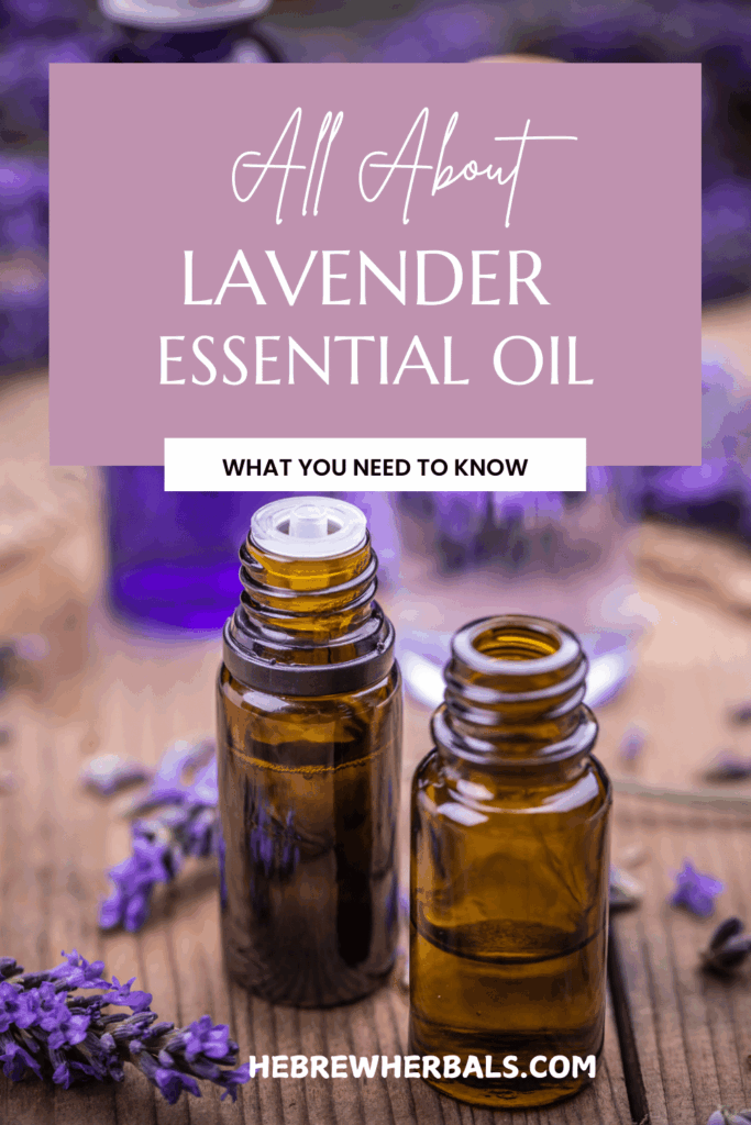 Lavender essential oil (Lavandula angustifolia) is more than just a calming scent — it’s one of the most versatile oils you can own. From better sleep and stress relief to skincare and everyday home uses, there’s a reason everyone keeps reaching for this floral favorite. Want to know why it works, how to use it, and what you might be missing? Find out more.